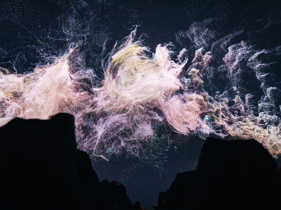 SAT&NinaGibelinSouchon